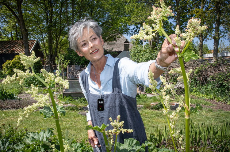 Maatje in Zeeland - LifeWatcher